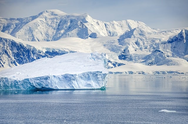 Jak mohou některá zvířata přežít i v chladném klimatu